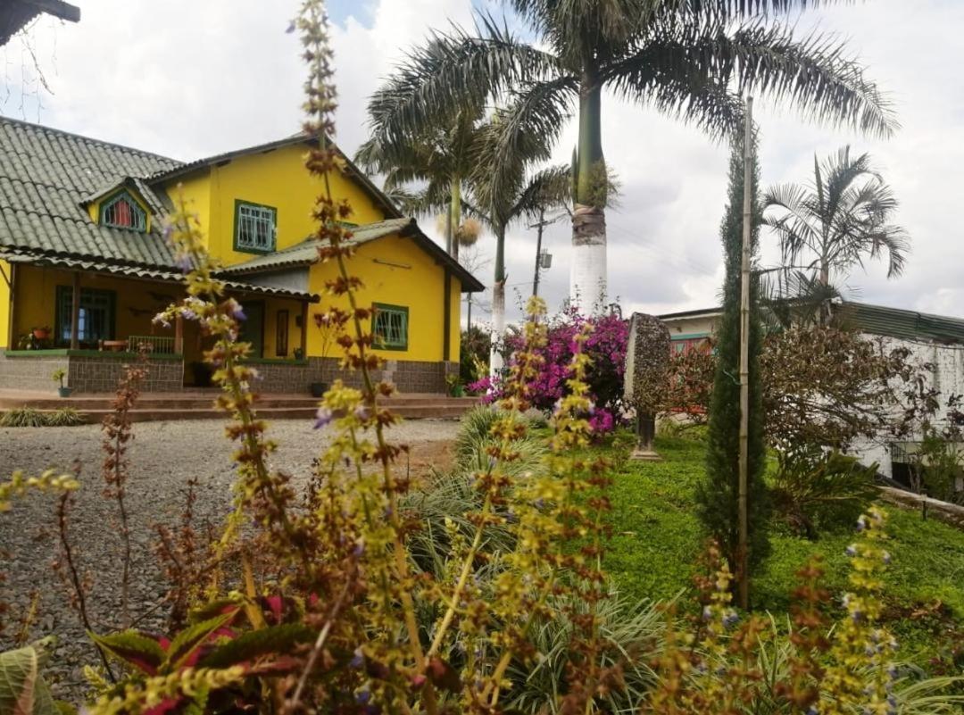 Calarcá Finca Turistica Santa Clara旅舍 外观 照片