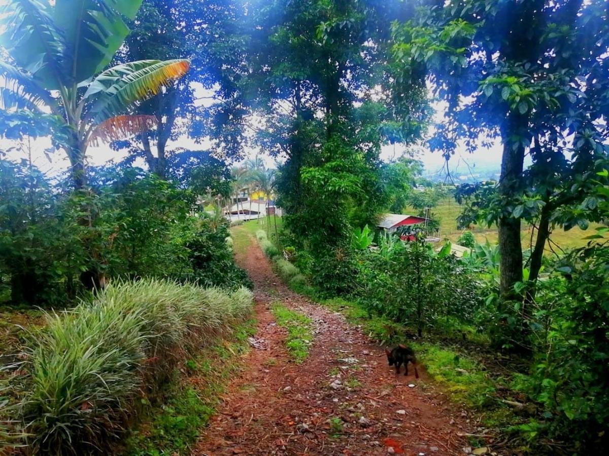 Calarcá Finca Turistica Santa Clara旅舍 外观 照片