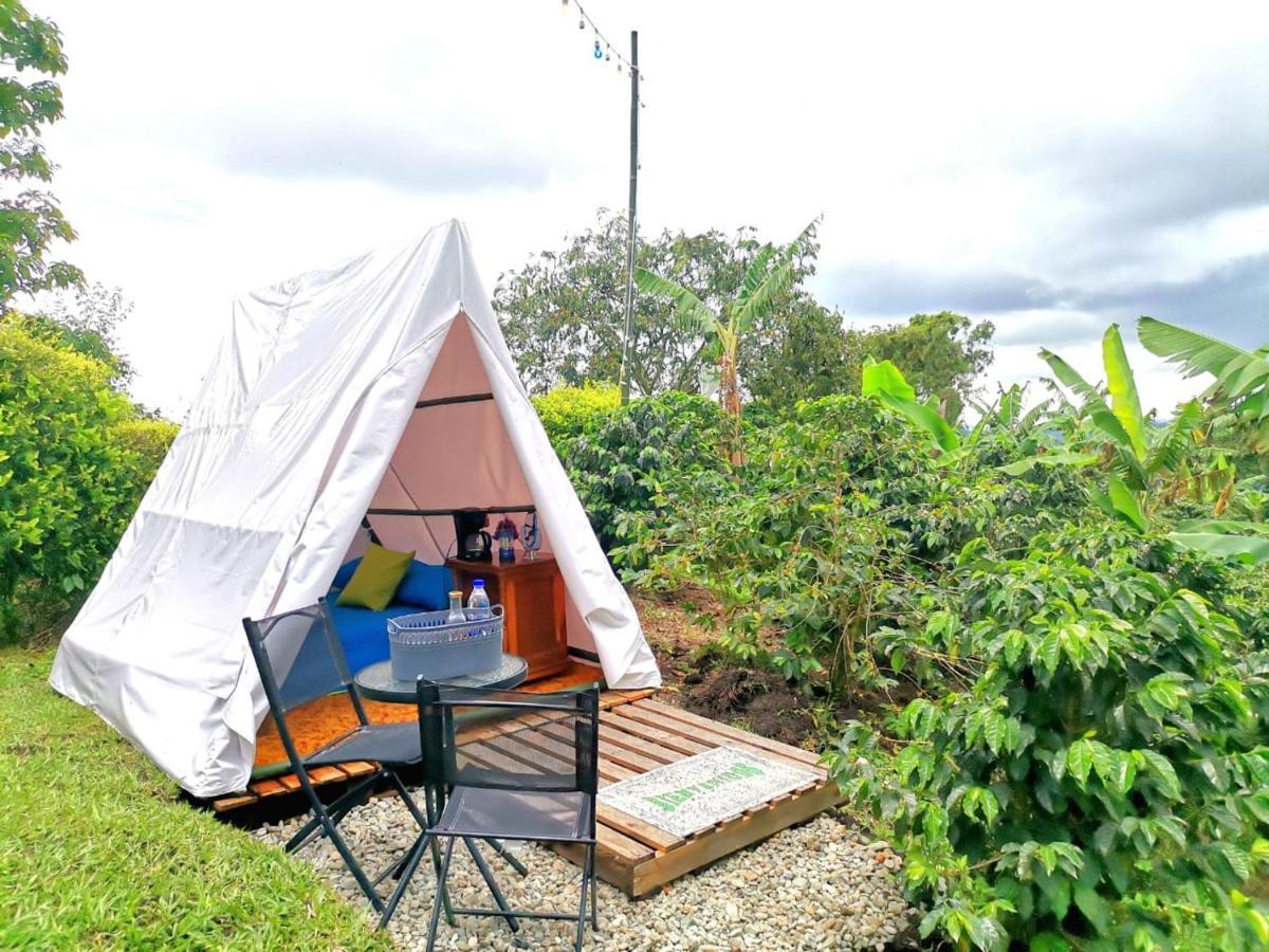 Calarcá Finca Turistica Santa Clara旅舍 外观 照片
