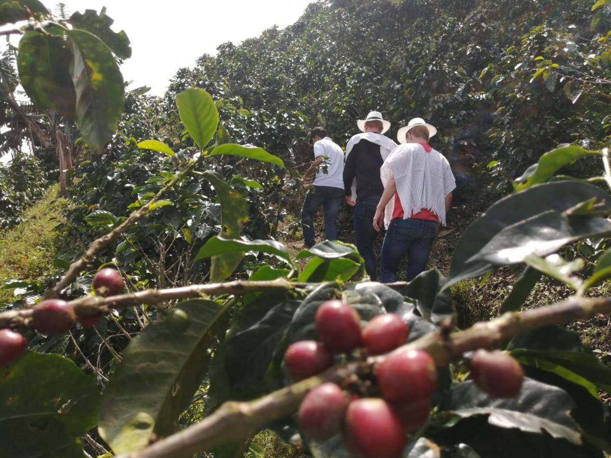 Calarcá Finca Turistica Santa Clara旅舍 外观 照片