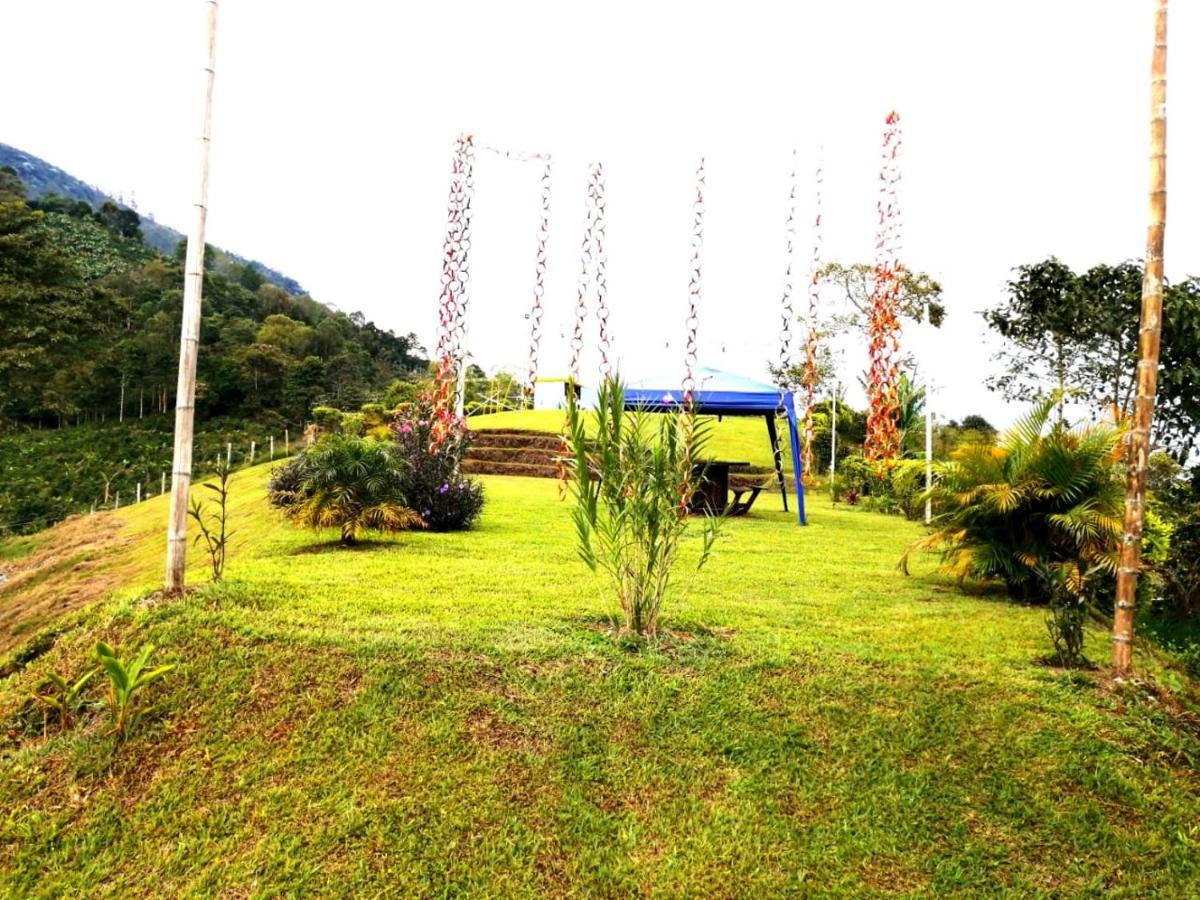 Calarcá Finca Turistica Santa Clara旅舍 外观 照片